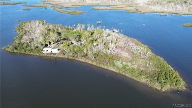 Private Island Offering---Boat Access Only! This is a rare - photo 41