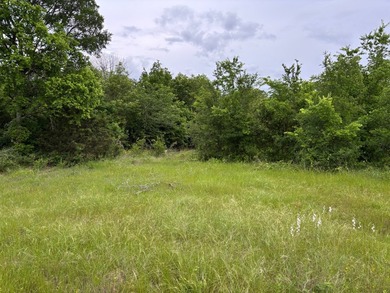 26.5 Acres - Hunting, Livestock, or Build Site If you've been - photo 2