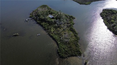 Private Island Offering---Boat Access Only! This is a rare - photo 42