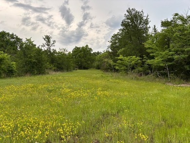 26.5 Acres - Hunting, Livestock, or Build Site If you've been - photo 3