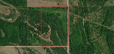 26.5 Acres - Hunting, Livestock, or Build Site If you've been - photo 5
