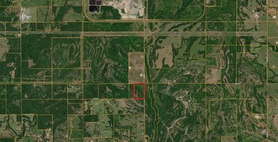 26.5 Acres - Hunting, Livestock, or Build Site If you've been - photo 6