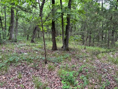 26.5 Acres - Hunting, Livestock, or Build Site If you've been - photo 7