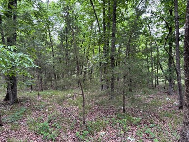 26.5 Acres - Hunting, Livestock, or Build Site If you've been - photo 8