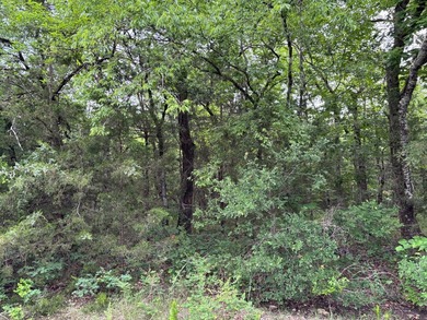 26.5 Acres - Hunting, Livestock, or Build Site If you've been - photo 10