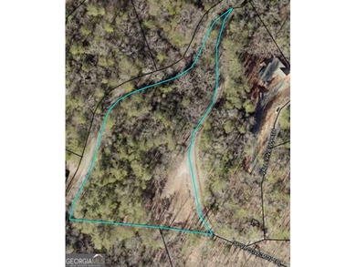 Nottely River Acreage For Sale in Blairsville Georgia