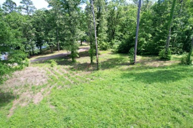1 Acre Lot with Water View of Lake Cypress Springs - photo 6