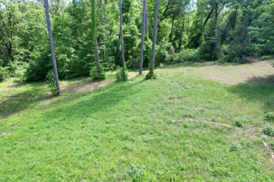 1 Acre Lot with Water View of Lake Cypress Springs - photo 7