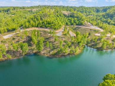 LAKE FRONT BUILDING LOT ON WOOD CREEK LAKE - photo 2