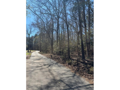 7.31 Acres -wooded near Broadway Lake with an incredible 1266 - photo 7