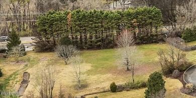 Great basement lot in well established neighborhood. Appx. .59 - photo 1