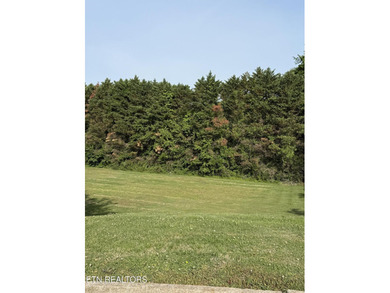Great basement lot in well established neighborhood. Appx. .59 - photo 3