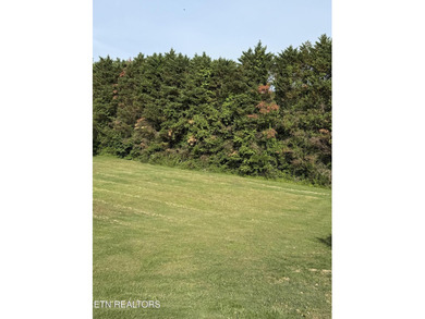 Great basement lot in well established neighborhood. Appx. .59 - photo 4