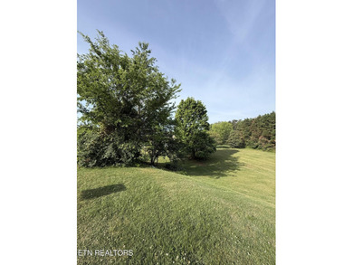 Great basement lot in well established neighborhood. Appx. .59 - photo 5