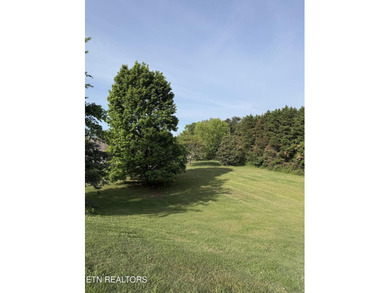 Great basement lot in well established neighborhood. Appx. .59 - photo 6