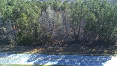 Boyd Millpond Lot For Sale in Laurens South Carolina