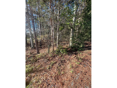 Additional listing photo 3