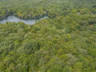 Lake Lot For Sale in Jasper, Georgia