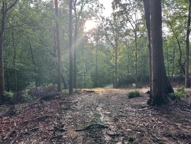 BE A PART OF A PRIVATE LAKE COMMUNITY!!! LARGE 1.46 ACRE LOT - photo 1