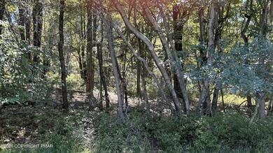 Lake Shangri-La Lot Sale Pending in Blakeslee Pennsylvania