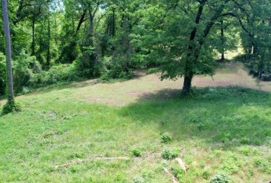 1 Acre Lot with Water View of Lake Cypress Springs - photo 8