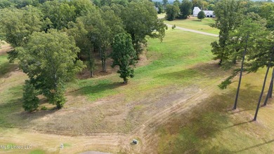 LAST LAKE LOT on Gray's Creek largest lake.~~~~~ Discover the - photo 5