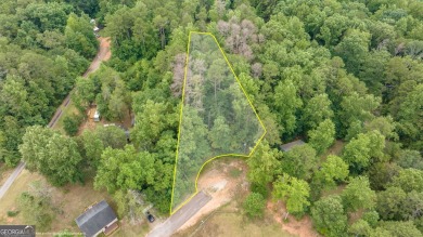 Lake Hartwell Lot For Sale in Martin Georgia