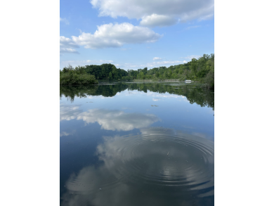 Lake Acreage For Sale in Delton, Michigan