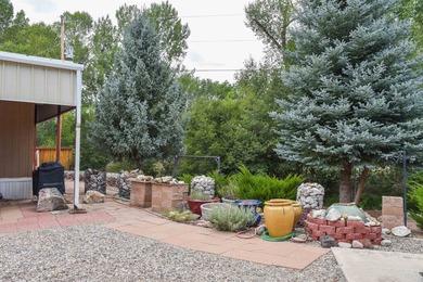 Beautiful property along the Red River in Questa NM! The - photo 18