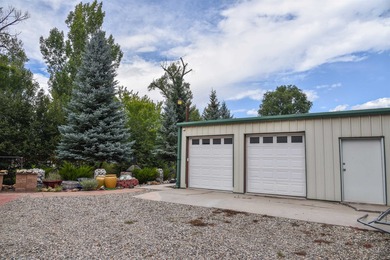Beautiful property along the Red River in Questa NM! The - photo 20