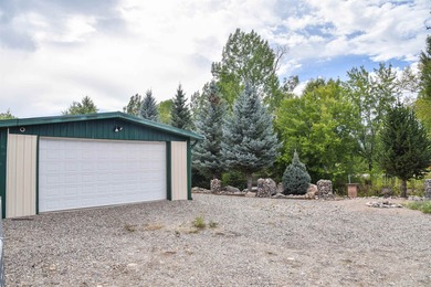 Beautiful property along the Red River in Questa NM! The - photo 21