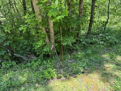 This 0.94+/- acre, wooded lot offers privacy and natural beauty - photo 7