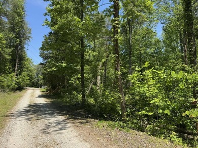This 0.94+/- acre, wooded lot offers privacy and natural beauty - photo 8