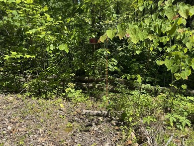 This 0.94+/- acre, wooded lot offers privacy and natural beauty - photo 9