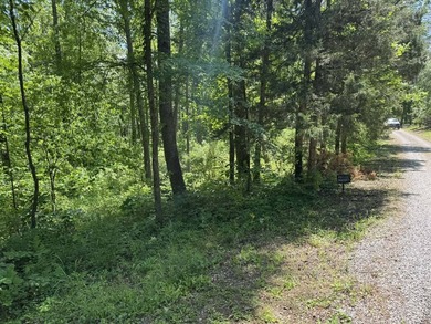 This 0.94+/- acre, wooded lot offers privacy and natural beauty - photo 10