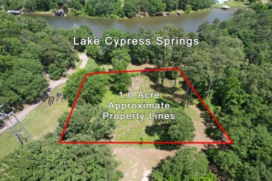 Lake Lot For Sale in Scroggins, Texas