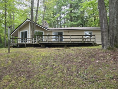 Lake Home For Sale in Gaylord, Michigan