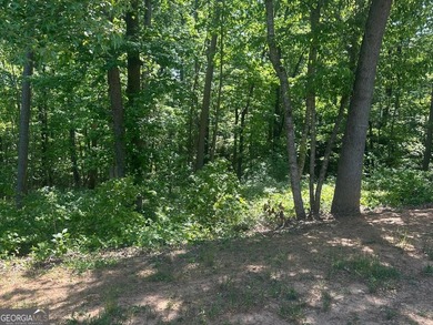 Looking for a Lot to Build your custom dream Home? The Reserve - photo 2