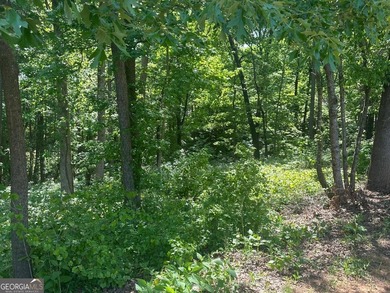 Looking for a Lot to Build your custom dream Home? The Reserve - photo 3