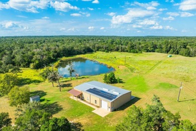 (private lake, pond, creek) Home For Sale in Rosanky Texas