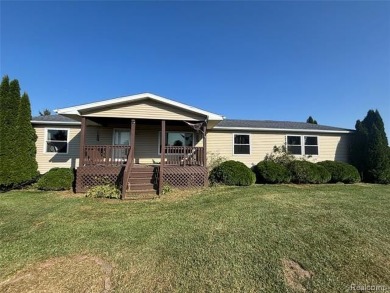 Lake Home For Sale in Brown City, Michigan