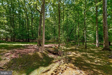 220 Creekside Drive in Lake of the Woods welcomes you! Location - photo 42