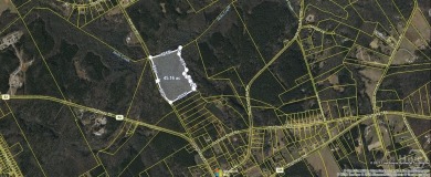 (private lake, pond, creek) Acreage For Sale in Good Hope Georgia