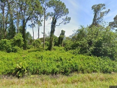 Lake June in Winter Lot For Sale in Lake Placid Florida