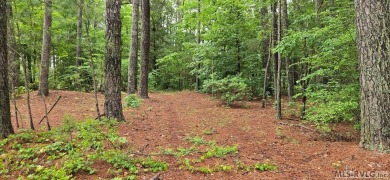 Lake Lot For Sale in Henrico, North Carolina