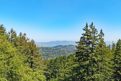Steps to the Dipsea and Mount Tam trails, with treehouse living - photo 8
