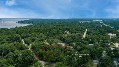Lake Lot For Sale in Tool, Texas