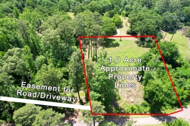 1 Acre Lot with Water View of Lake Cypress Springs - photo 2