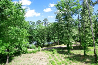 1 Acre Lot with Water View of Lake Cypress Springs - photo 4