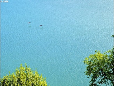 Wake up to sweeping views of the Chetco River, Pacific Ocean and - photo 28